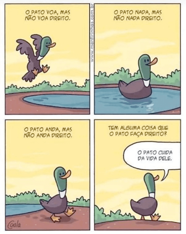 Programador pato